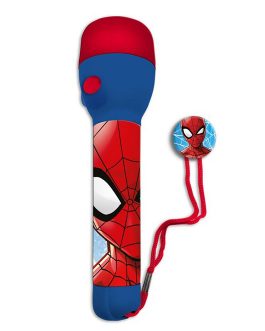 BIG TORCH SPIDERMAN