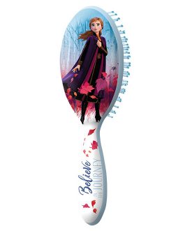 HAIR BRUSH IN DISPLAY FROZEN 2