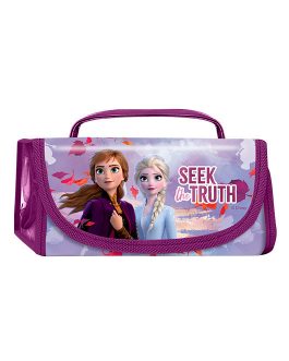 CASE SET FROZEN 2