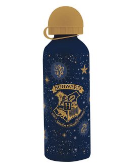 BOTTLE HARRY POTTER KIDS
