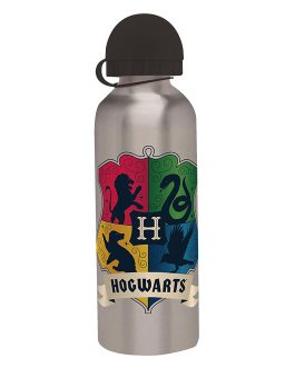 BOTTLE HARRY POTTER KIDS