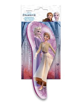 HAIR BRUSH FROZEN 2