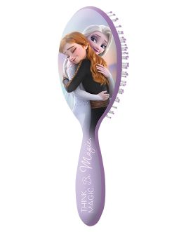FROZEN HAIRBRUSH