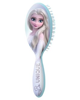 FROZEN HAIRBRUSH